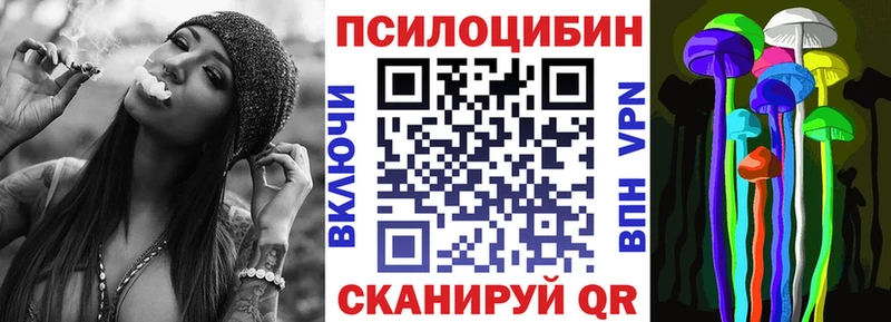 Псилоцибиновые грибы Psilocybe  Купить закладки  Кодинск 